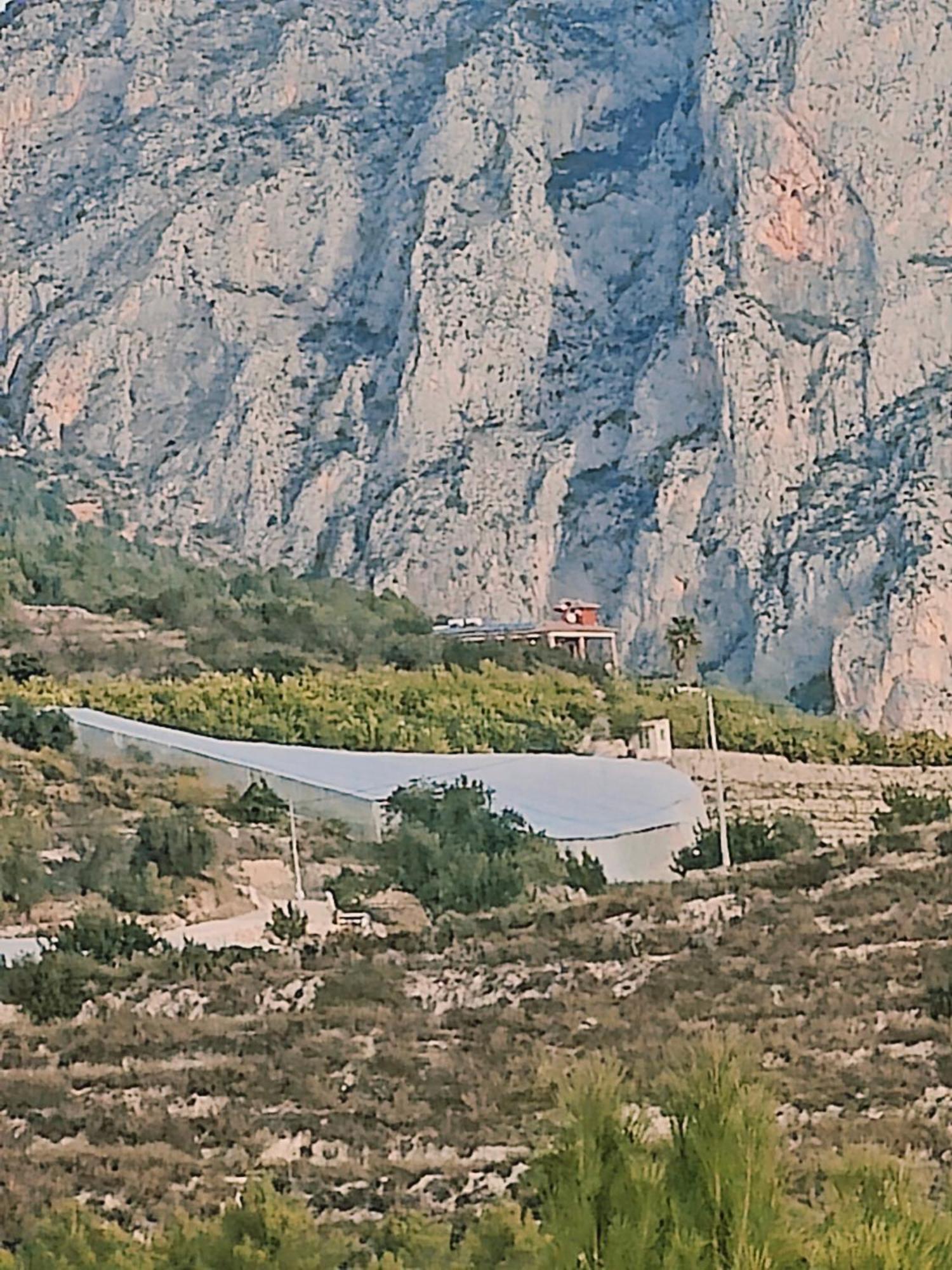Finca Oliva Bolulla Eksteriør bilde