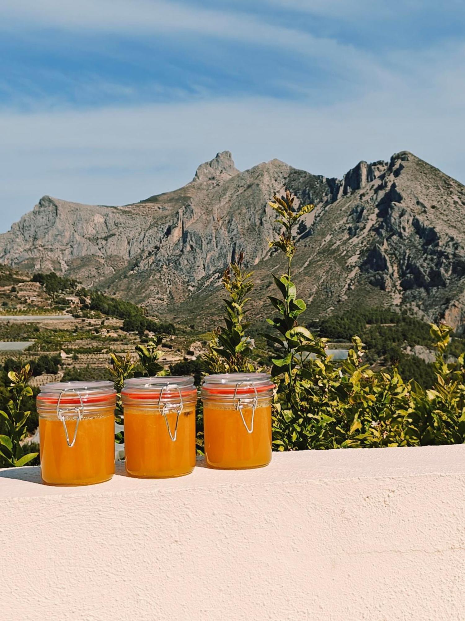 Finca Oliva Bolulla Eksteriør bilde