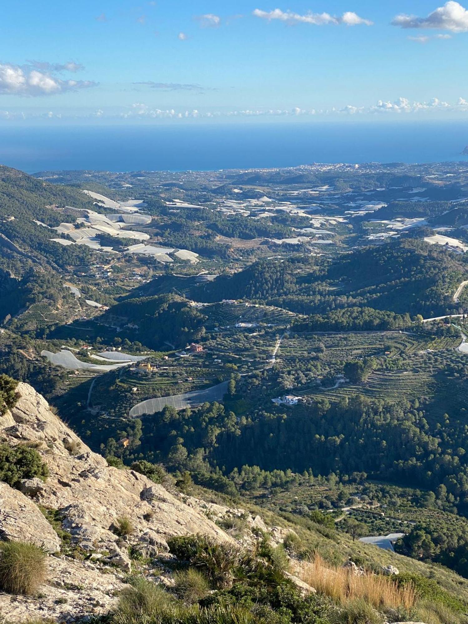 Finca Oliva Bolulla Eksteriør bilde