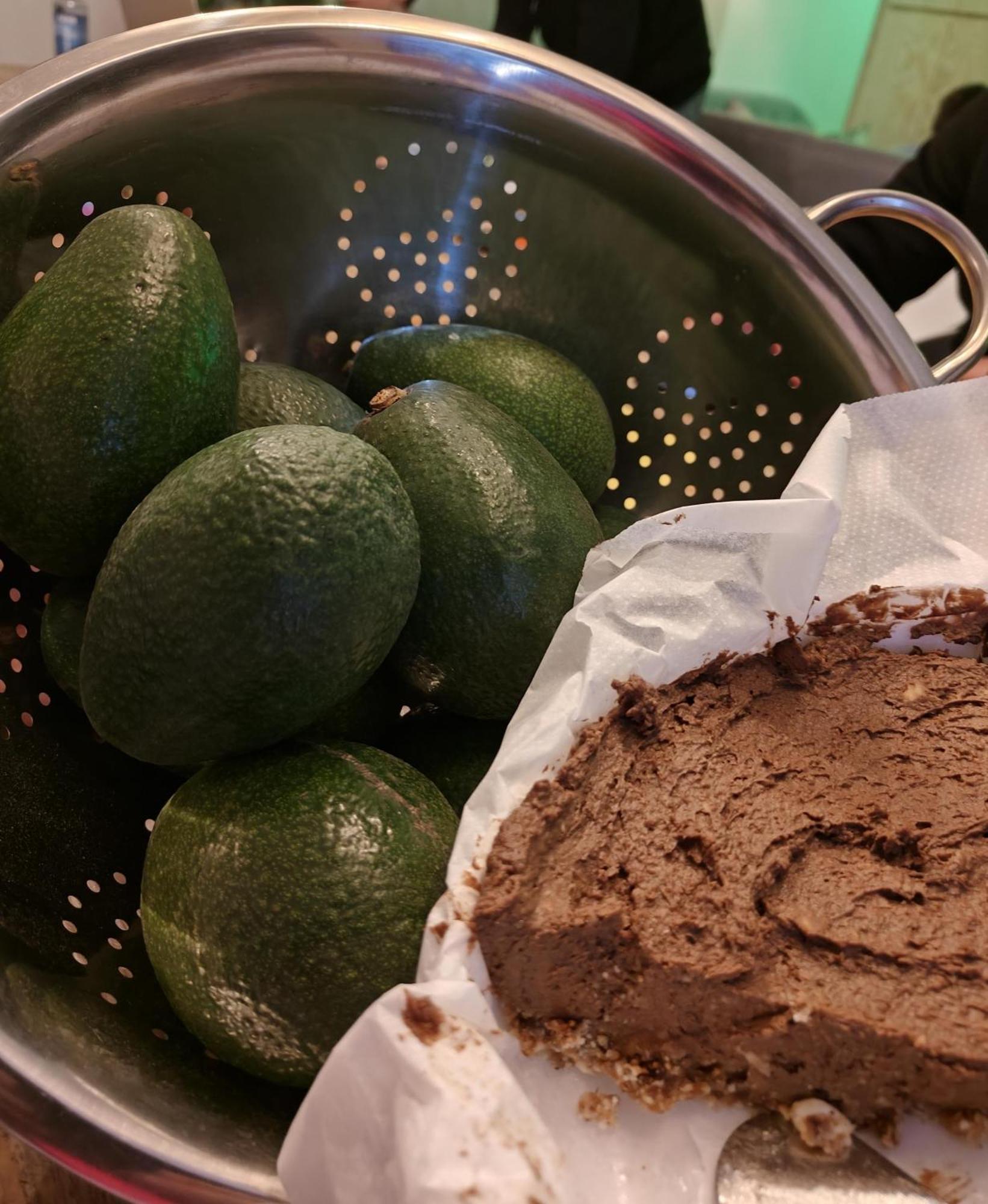 Finca Oliva Bolulla Eksteriør bilde